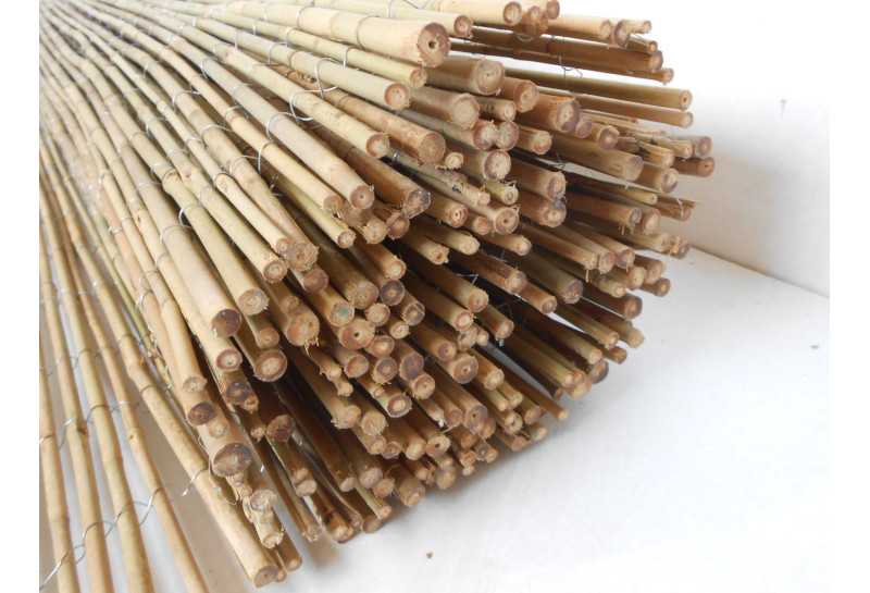 Stuoia bambù intero mm 18/25 ST-CIBG - Giunco Casa arredamento e mobili in  bambù, giunco e rattan